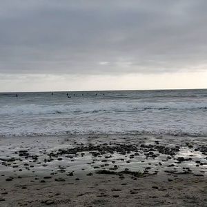 Meet your Posher, Fowler